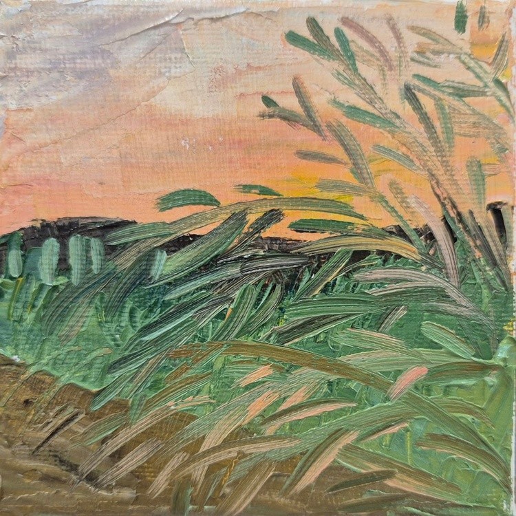 Sunset, March 2025