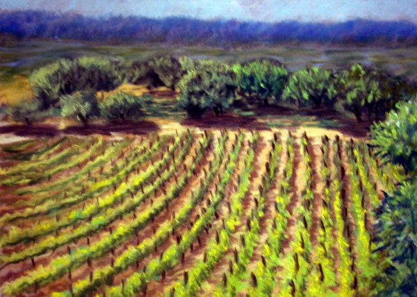 Paradise Ridge Winery
