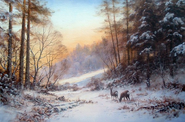 Winter Evening
