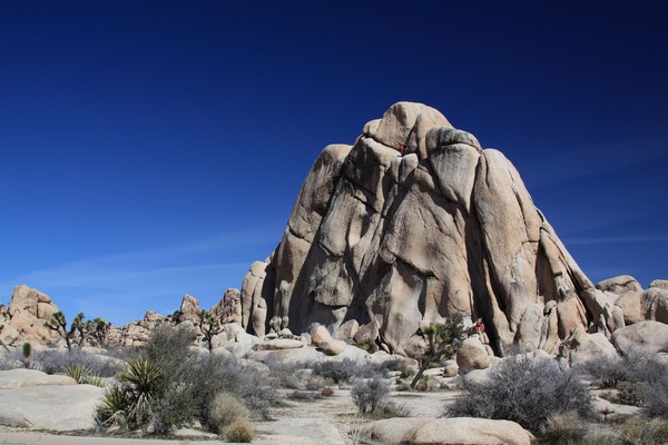 Joshua Tree Nat. Pk. Rock Climbers 4