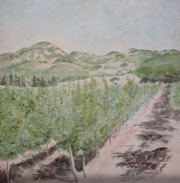 Napa 17 in
