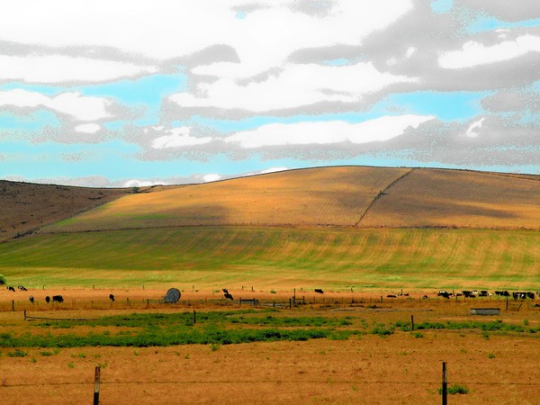 Two Rock valley Road 5