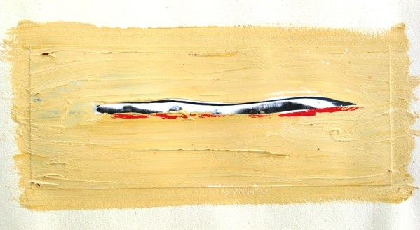 overpainting photography 4