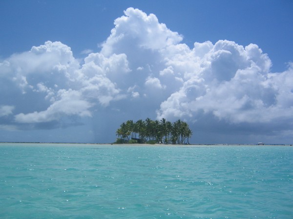 Tahiti dreamin.