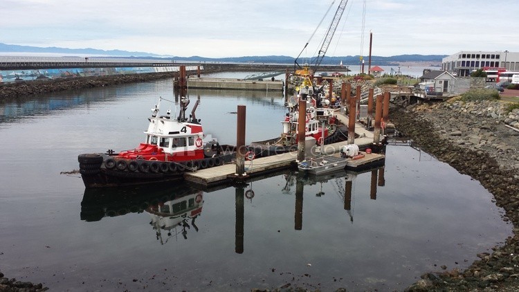 Tugboat at Ogden Point