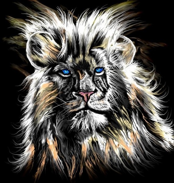 Pride of the pride