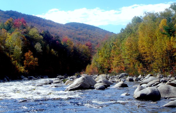 Rushing Adirondack Stream