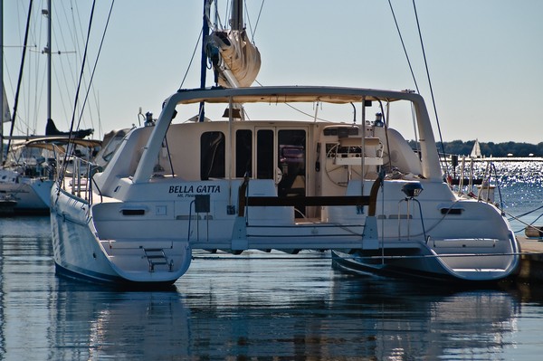 Bella Gatta