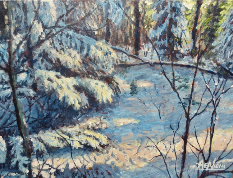 Winter Woods