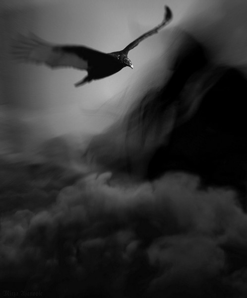 SHADOWLAND Requiem