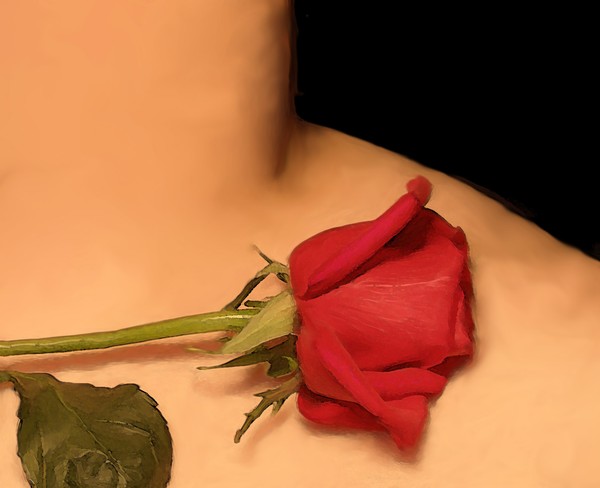 Rose 3