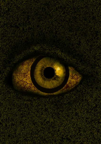 eye veins