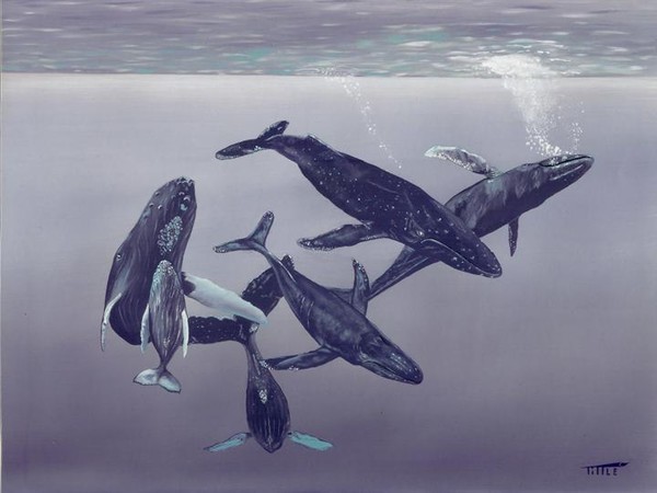 HUMPBACK WHALES