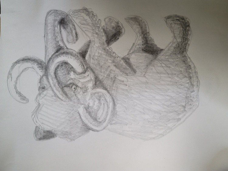  plesiosaurus
