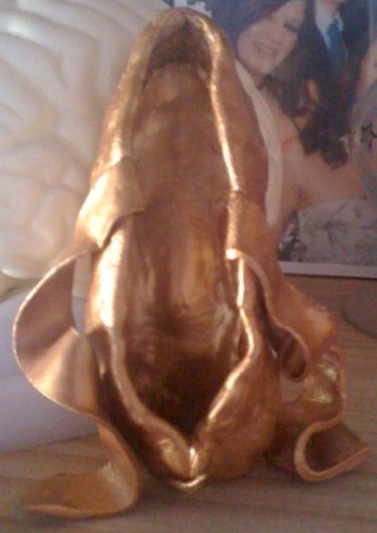 Pointe shoe