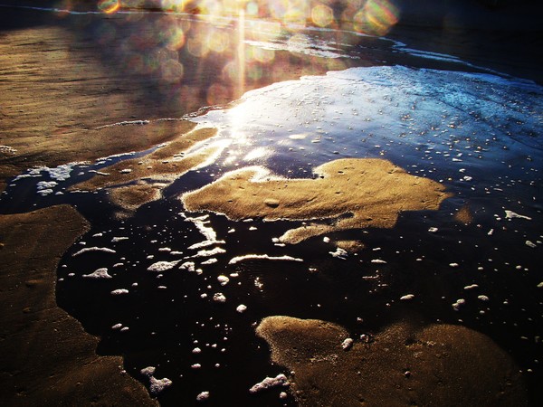My Heart Lies Broken In The Sand 8392 11x14 Print