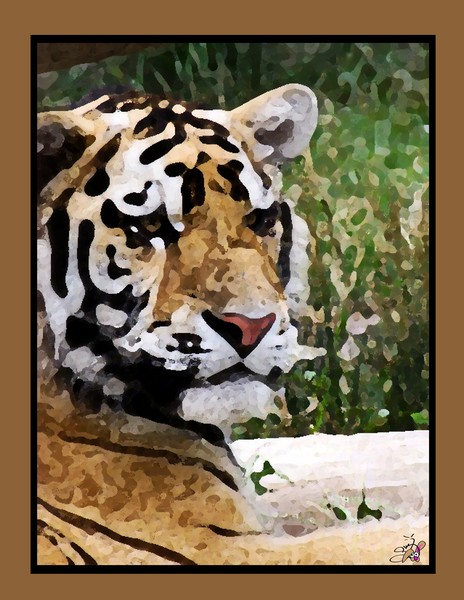 Contemplation