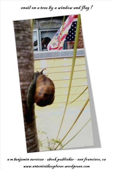 snail on trees by a window and flag