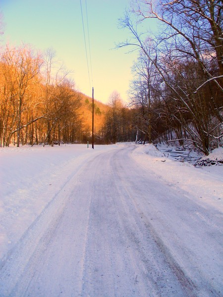 Snowy Road