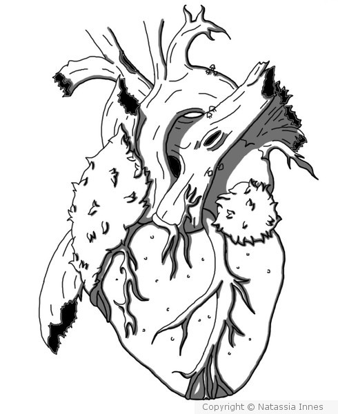 Nature's Heart
