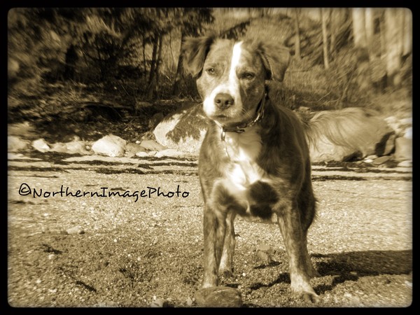 Eddie2