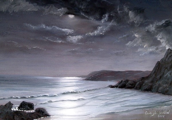 large night seascape