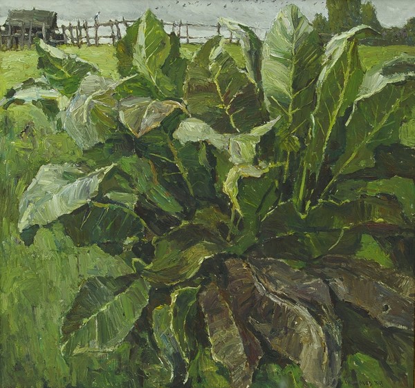 horseradish