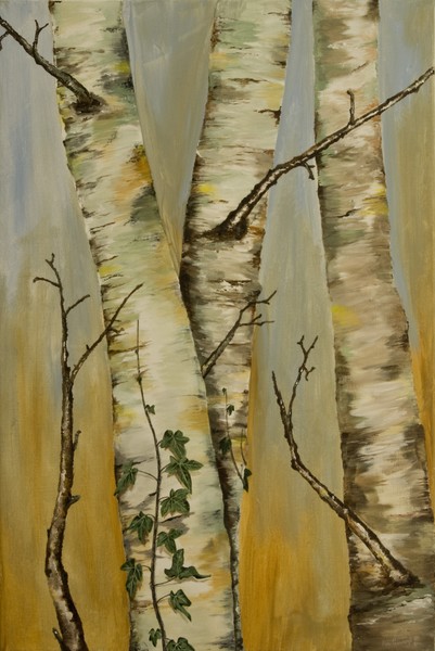 Silver Birch