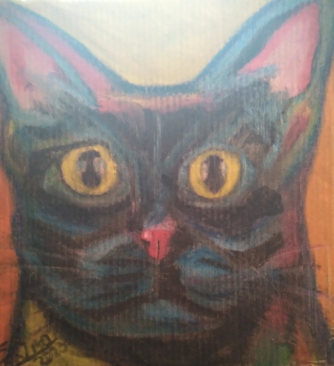 Round Eyed Cat