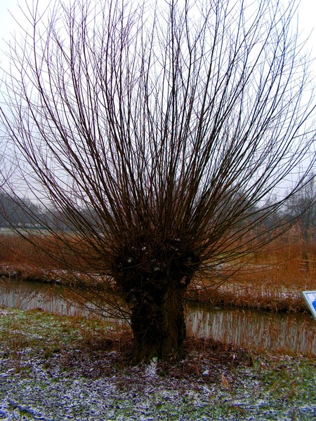 winter 05