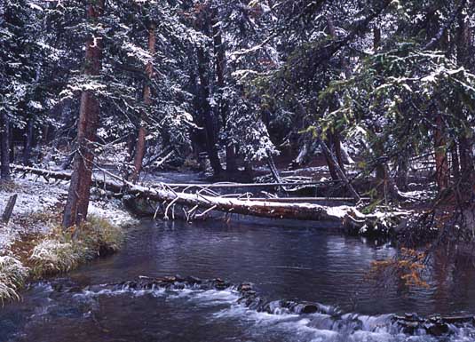 June Snow on Lava Creek