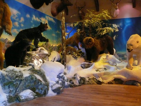 Trophy room,3 D art