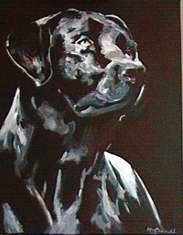 hound-dog