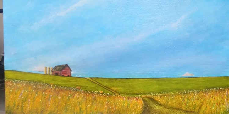 Prarie field