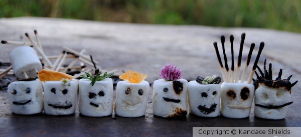 Marshmellow Me!