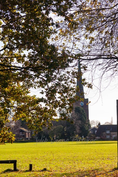 Autumn in the Park
