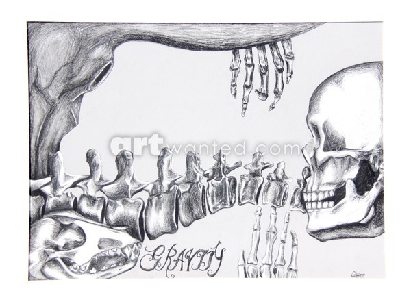 Skulls and Bones