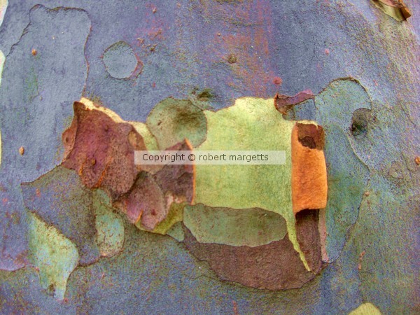 torn apart