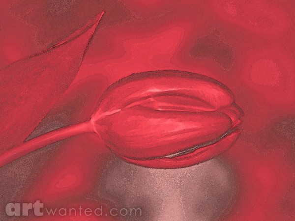 Red Tulip