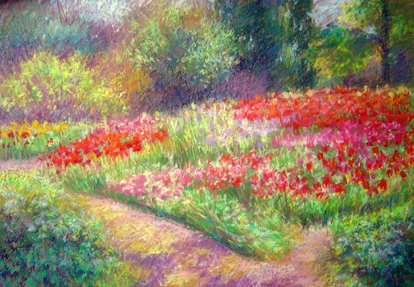 Blooming tulips in May