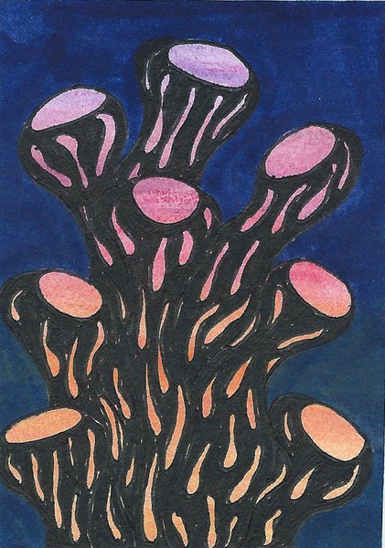 Mushrooms