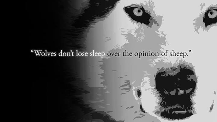 would you prefer to be a sheep or a wolf ?