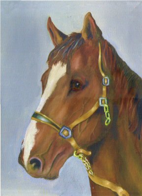 Portrait of a Horse