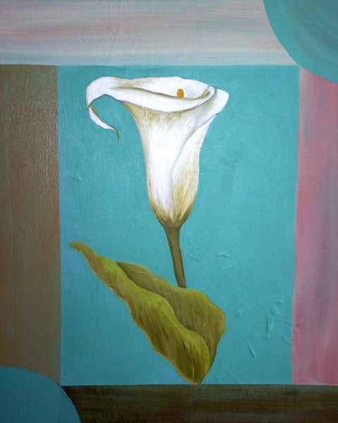 Calla lily