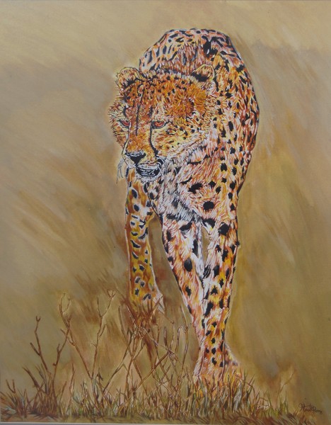 Walking wild