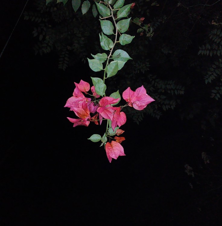 IMG 20160113 220905