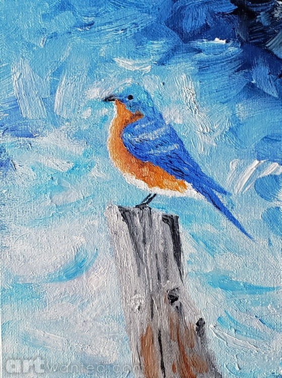 Mr. Bluebird