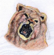 Lion Drawing