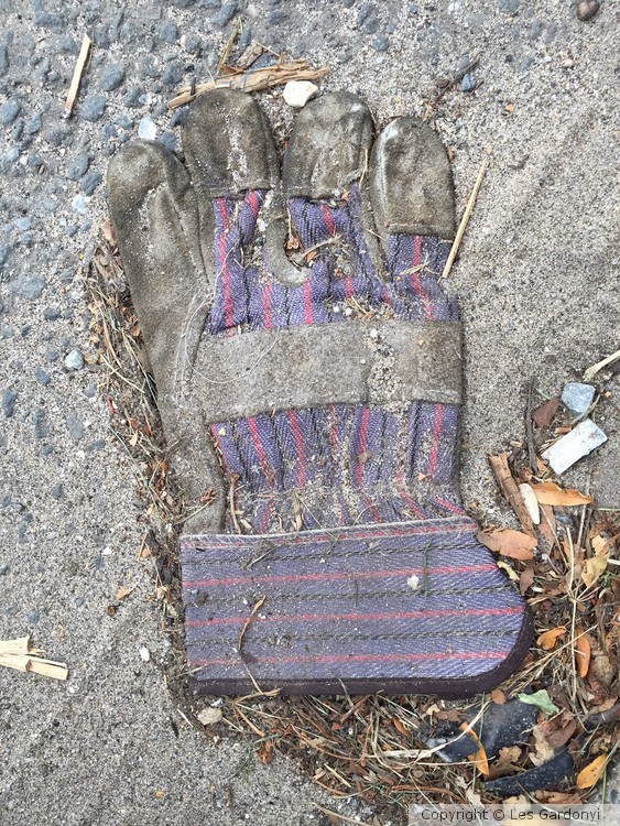 Lost Fat Glove