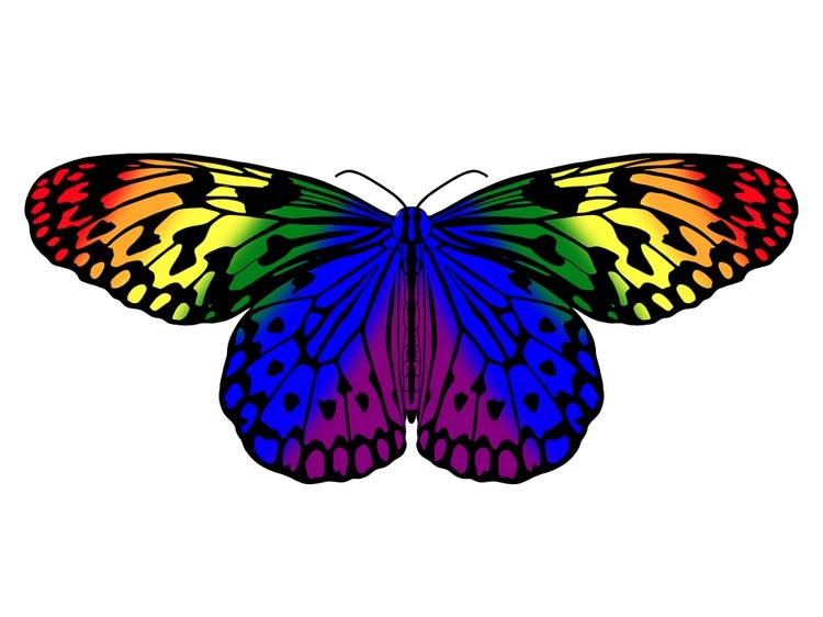 LGBTQIA+ Butterflies:  Rainbow
